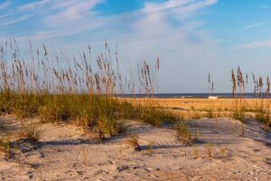 St Augustine Anastasia State Park