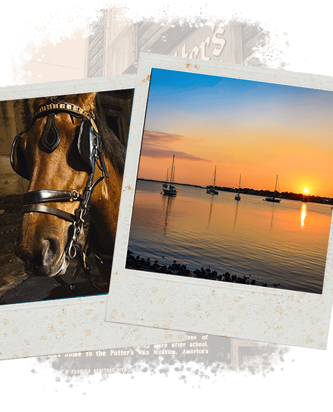St augustine couple friendly attractions